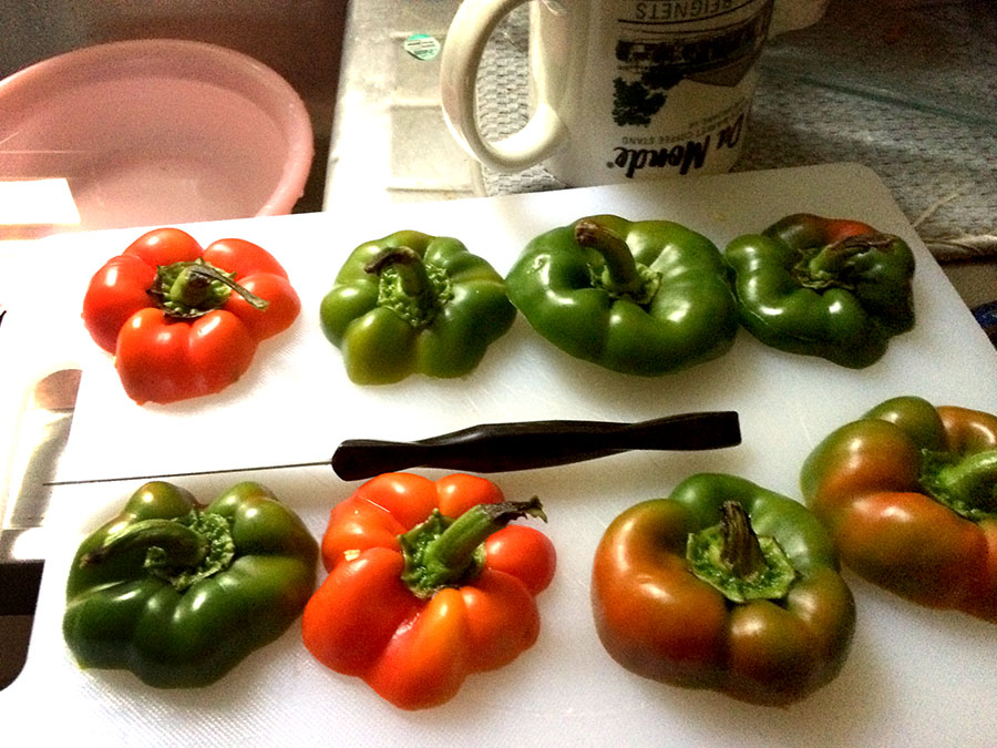 Rice and Beans Stuffed Peppers